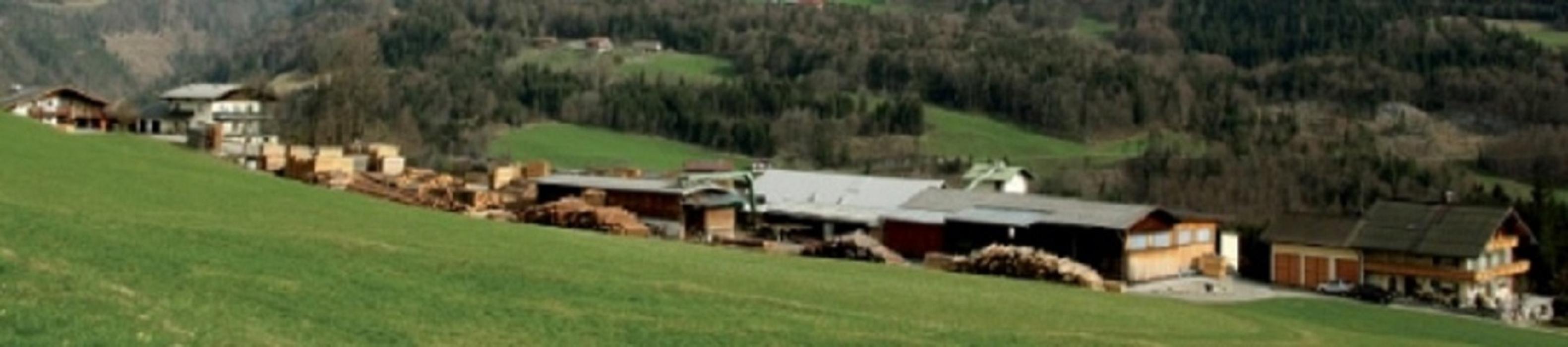 Johann Siller Sägewerk u. Transporte, Tauglstraße in Sankt Koloman