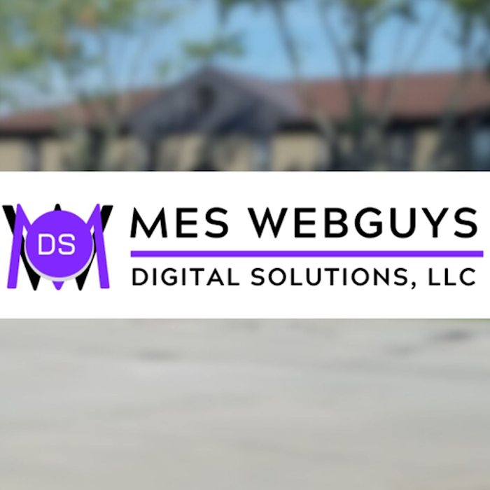 Webguys Digital Solutions - Southfield, MI