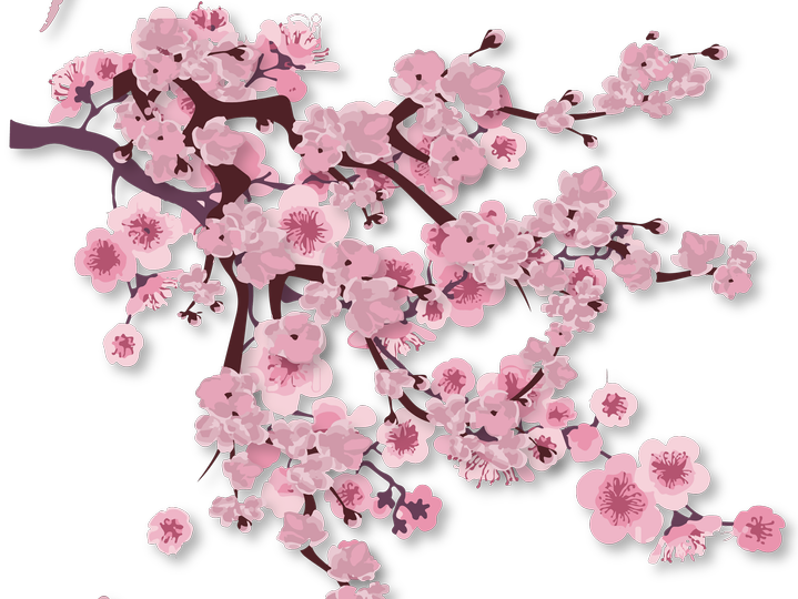 Virginie Rosner Naturopathe