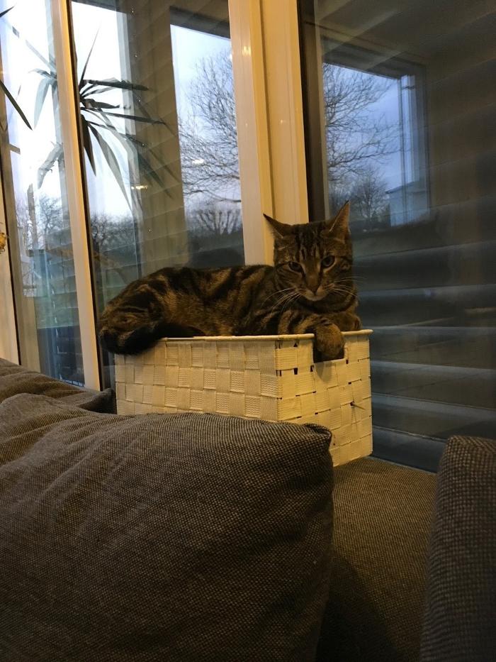 Tierärztlicher Hausbesuchsdienst Monika Heinrich, Hauptstraße in Heltersberg