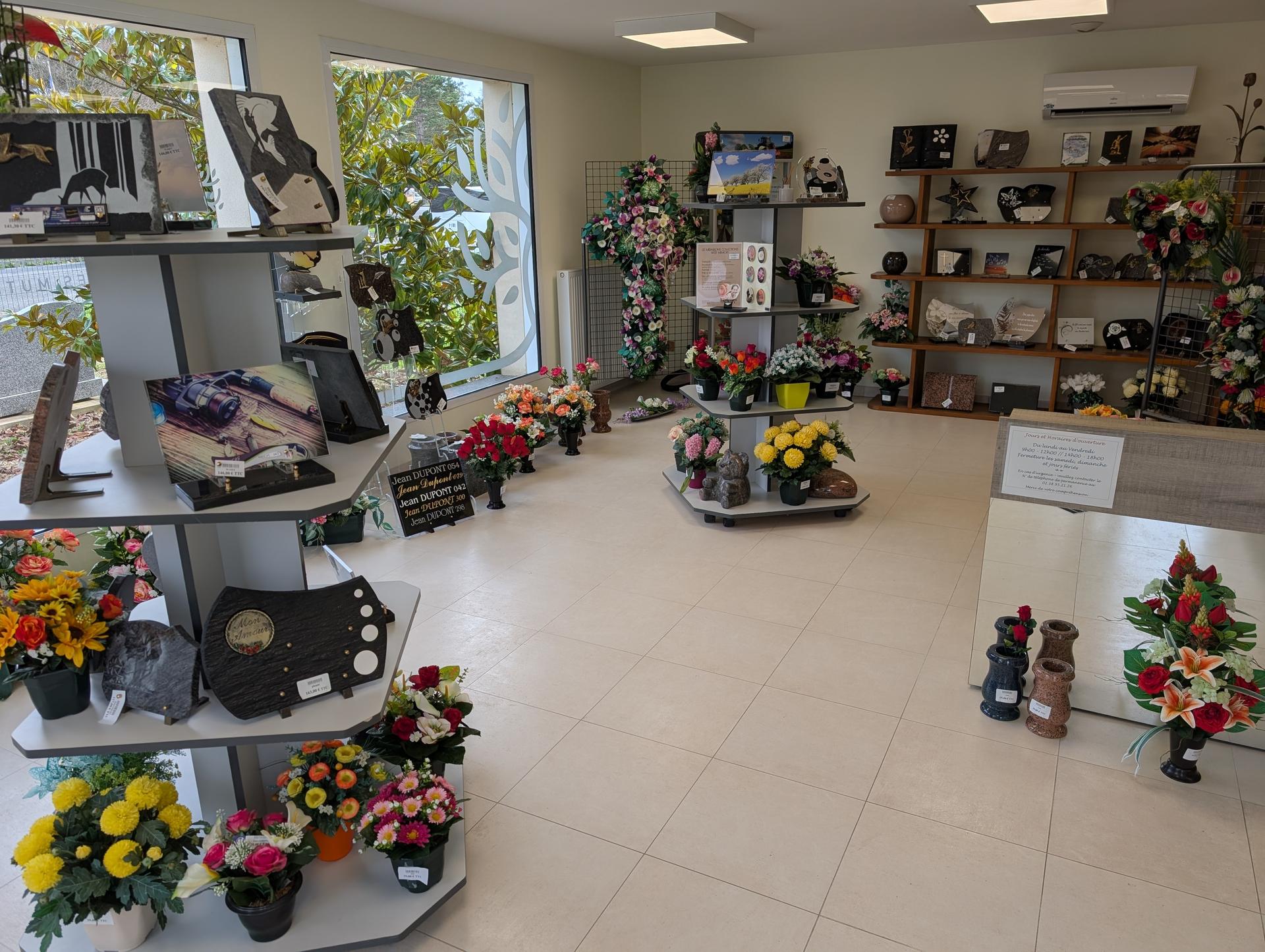 galerie image