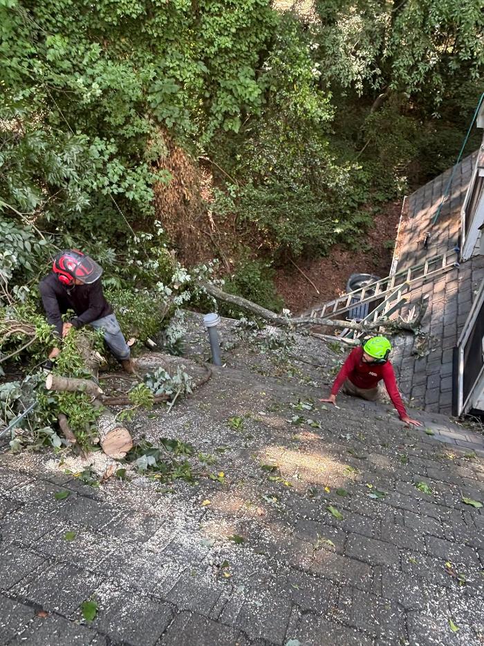 Skyline Roofing and Contracting Image