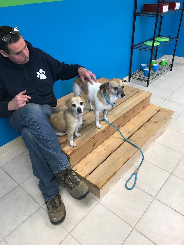 Hounds Town Commack Rd - Deer Park, NY