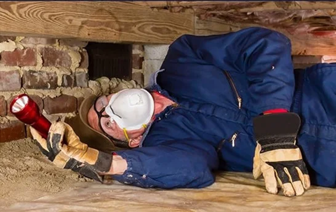 Extermin8 Pest and Termite Control - Indio, CA