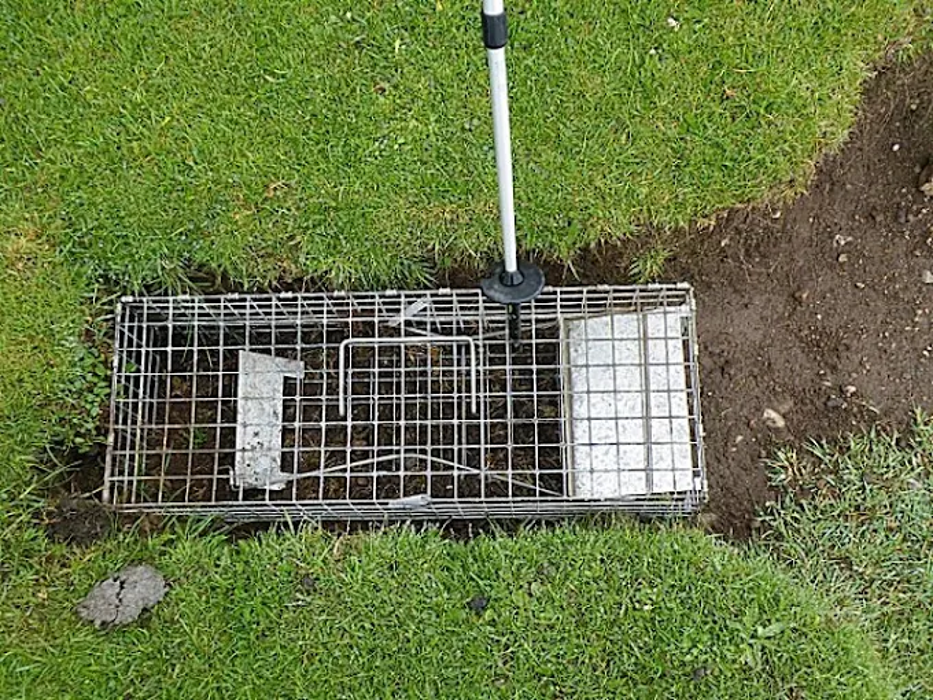 Extermin8 Pest and Termite Control - Indio, CA