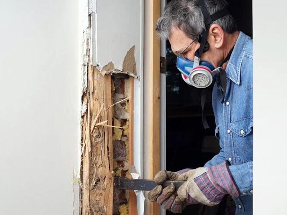 Extermin8 Pest and Termite Control - Indio, CA