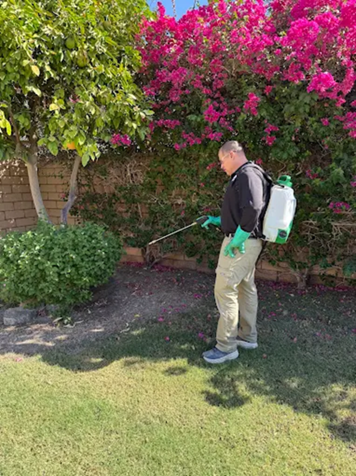 Extermin8 Pest and Termite Control - Indio, CA