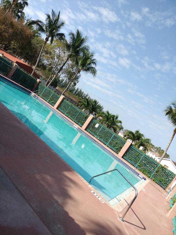 Penguin Pools of Florida Image