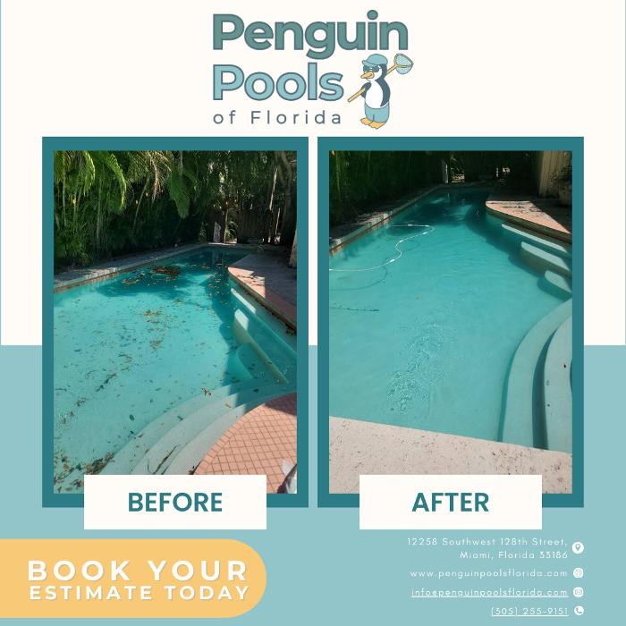 Penguin Pools of Florida Image