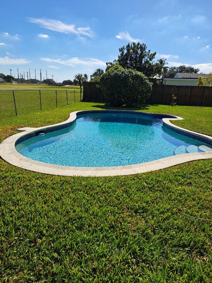 Penguin Pools of Florida Image