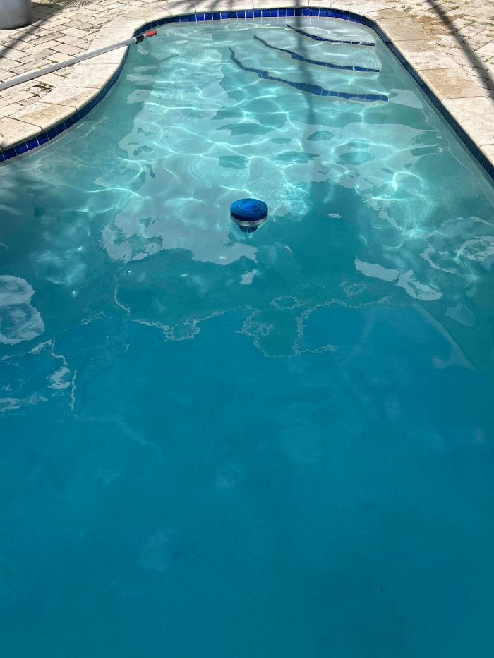 Penguin Pools of Florida Image