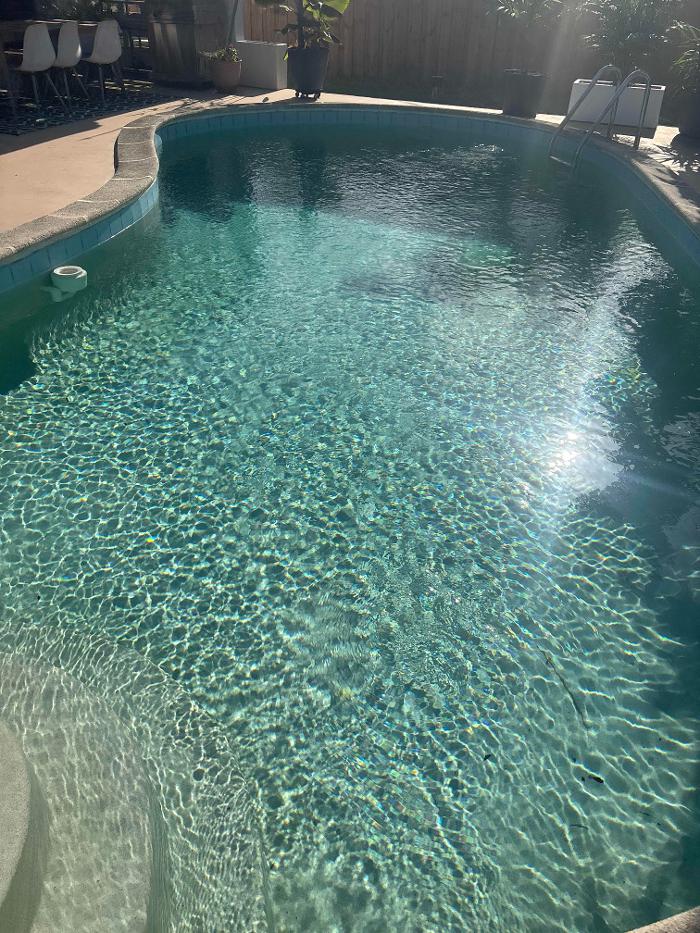 Penguin Pools of Florida Image