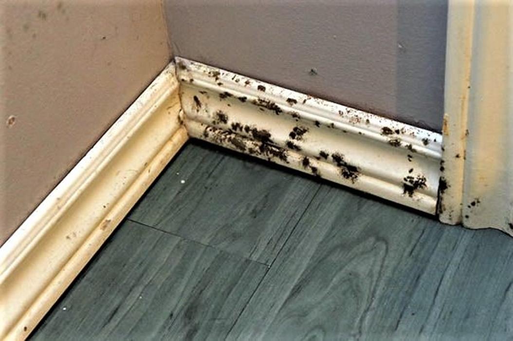 Behind The Scenes Home Inspections - Nephi, UT