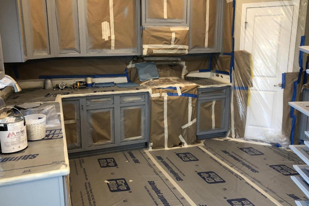 Pro House Painters Image