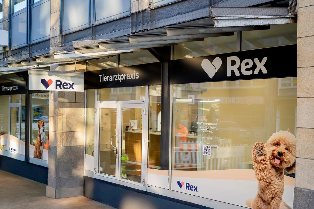 Rex Tierarztpraxis Düsseldorf, Friedrichstraße in Düsseldorf