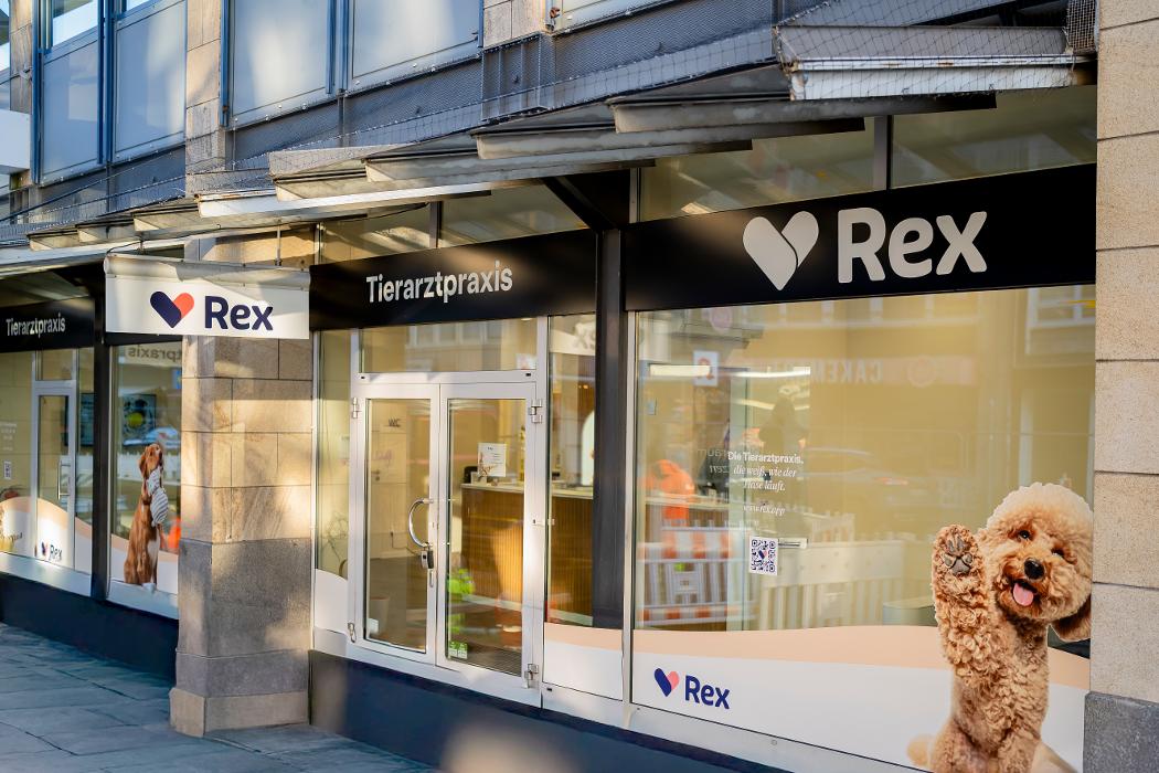Rex Tierarztpraxis Düsseldorf, Friedrichstraße in Düsseldorf