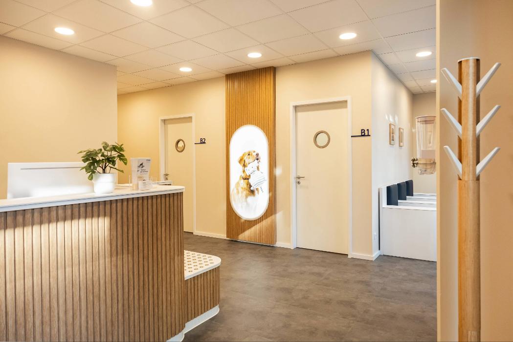 Rex Tierarztpraxis Stuttgart-Rotebühlplatz, Sophienstraße in Stuttgart