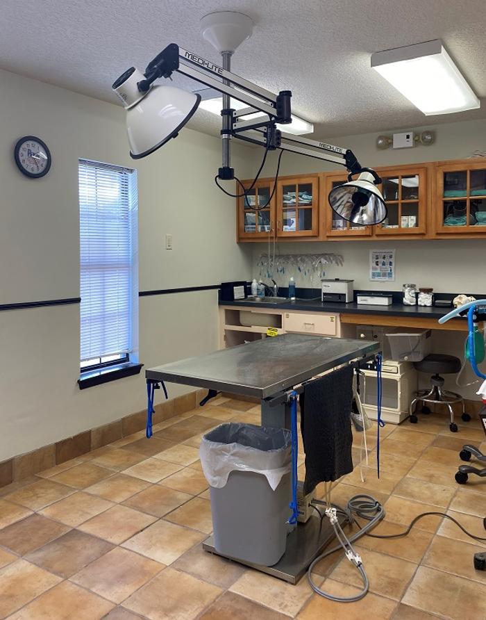 Camden Veterinary Clinic - Saint Marys, GA