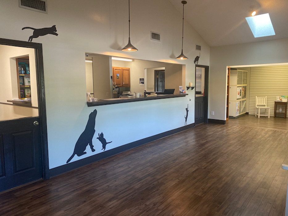 Camden Veterinary Clinic - Saint Marys, GA