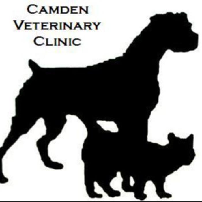 Camden Veterinary Clinic - Saint Marys, GA