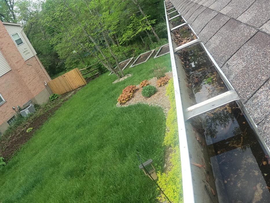 HomeSmiles Orlando Image