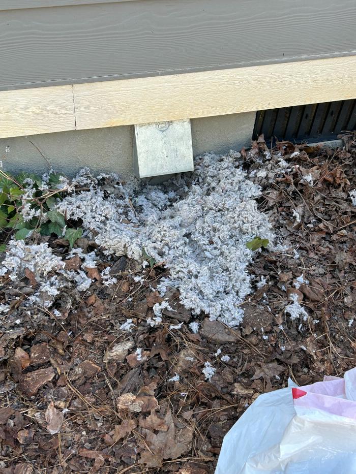 HomeSmiles Orlando Image