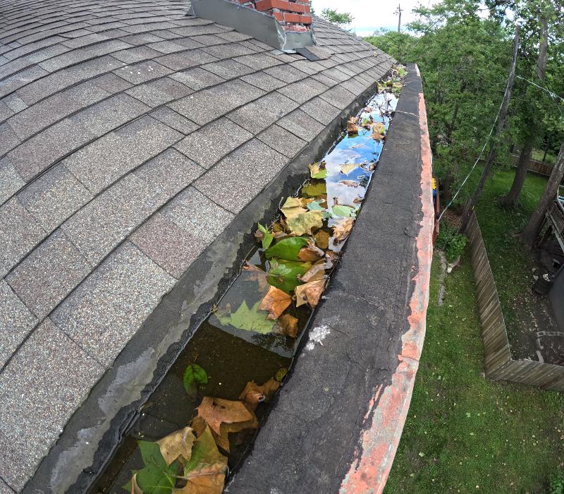 HomeSmiles Orlando Image