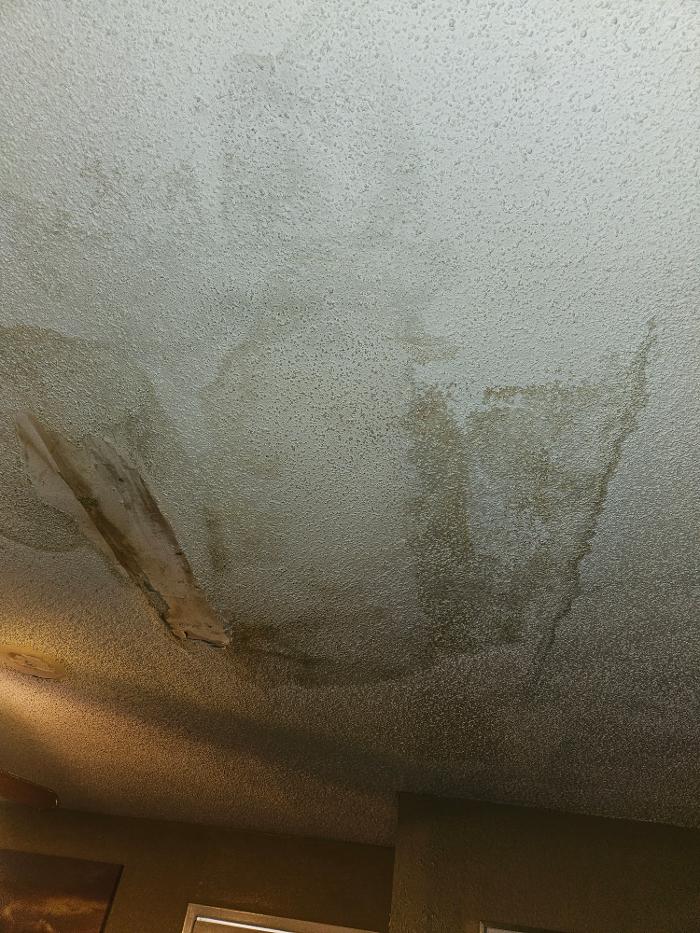 Premier Home Updates Image