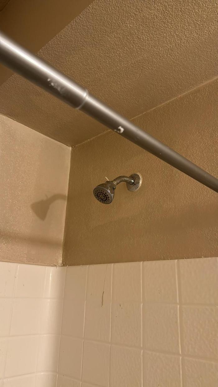 Premier Home Updates Image