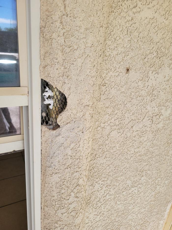 Premier Home Updates Image