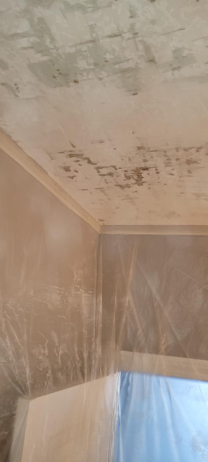 Dimke Property Solutions LLC - Fort Wayne, IN