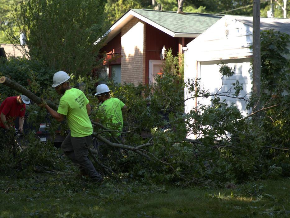 Ultimate cut tree service Logo
