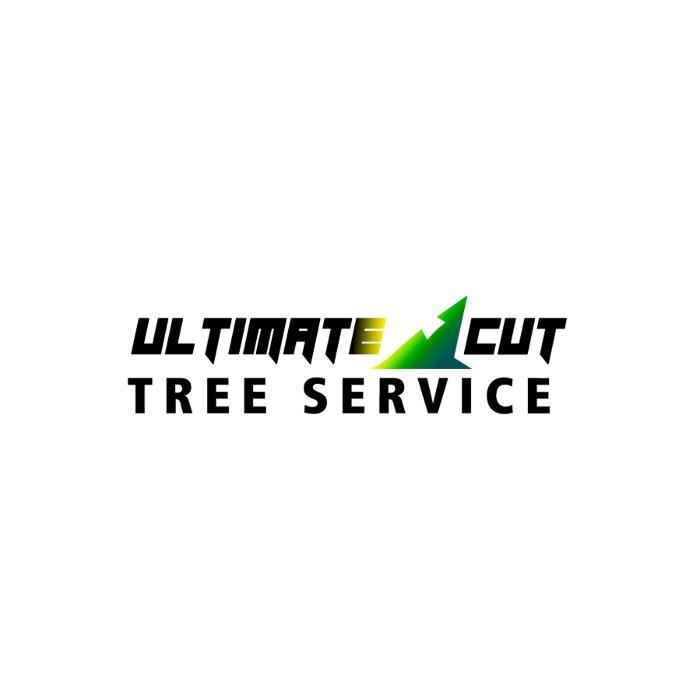 Ultimate cut tree service Image