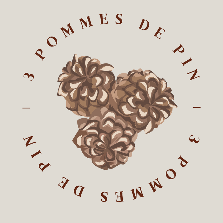 3 pommes de pin article de ménage et de cuisine, bazar et droguerie (détail)