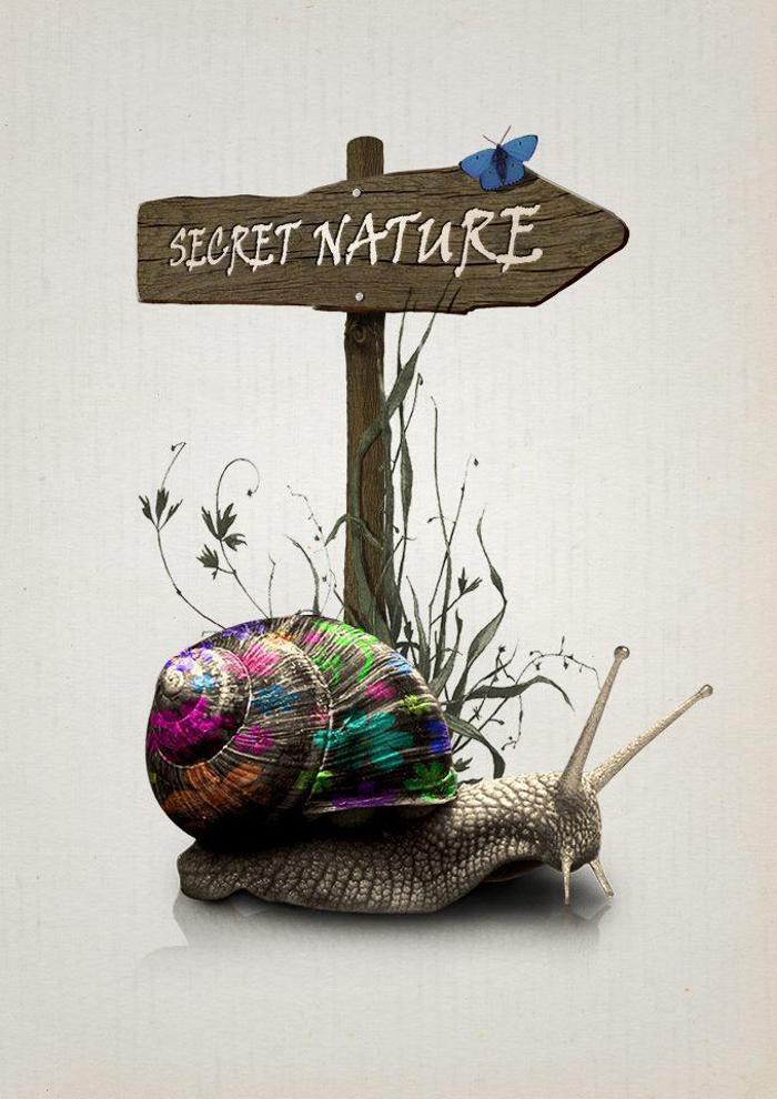 Secret Nature Thun, Obere Hauptgasse in Thun