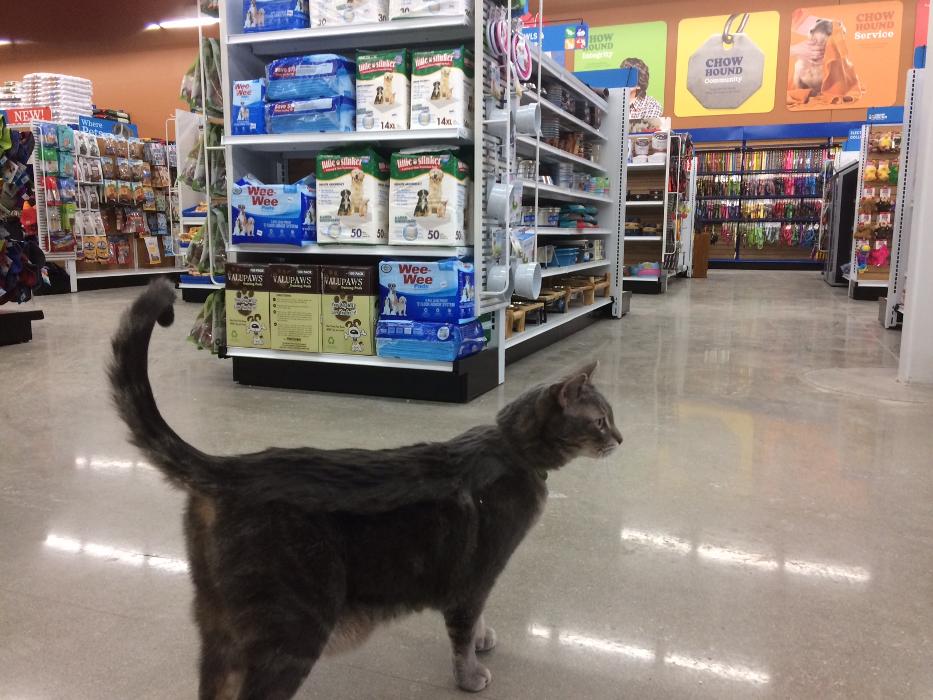 Chow Hound Pet Supplies