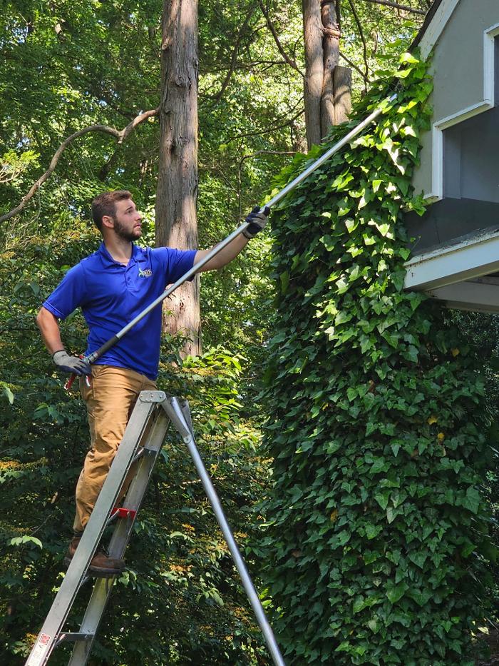 DELIS Landscaping - Pennington, NJ