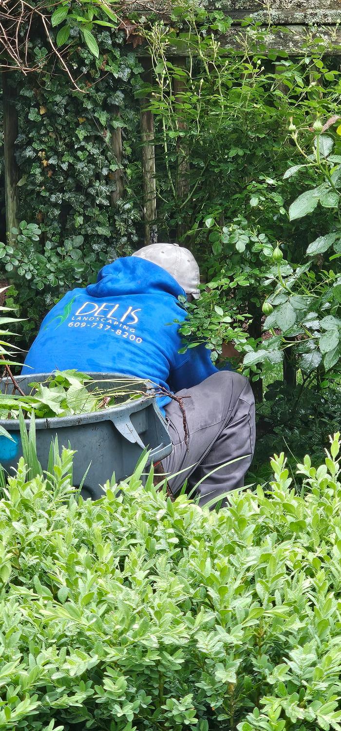DELIS Landscaping - Pennington, NJ