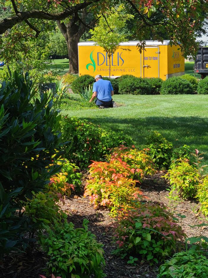 DELIS Landscaping - Pennington, NJ