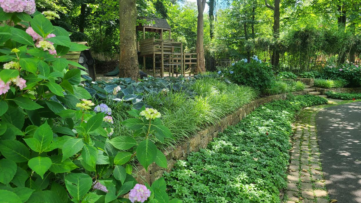 DELIS Landscaping - Pennington, NJ