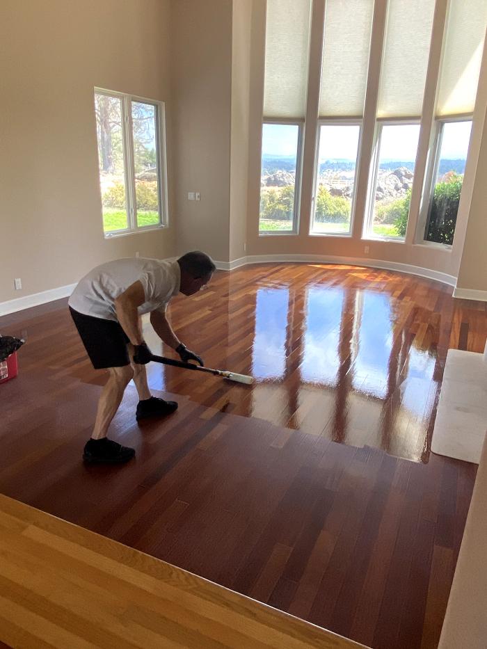 Green Steamer Plus Image