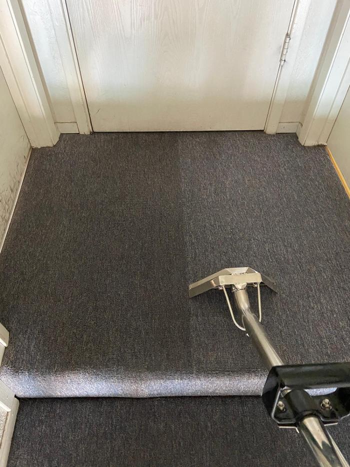 Green Steamer Plus Image