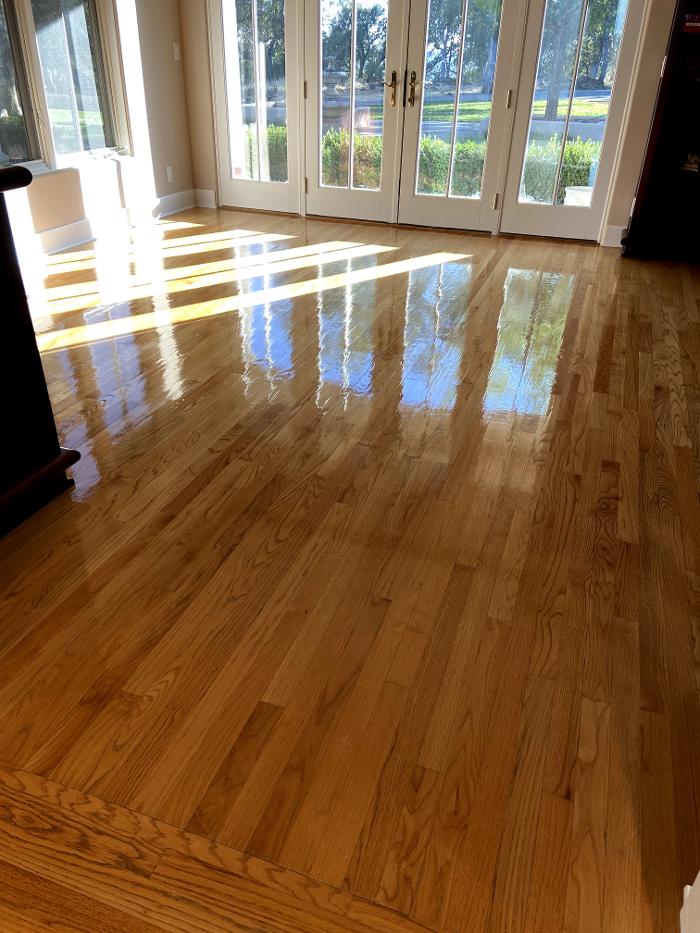 Green Steamer Plus Image