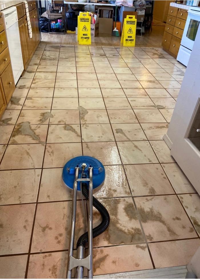 Green Steamer Plus Logo