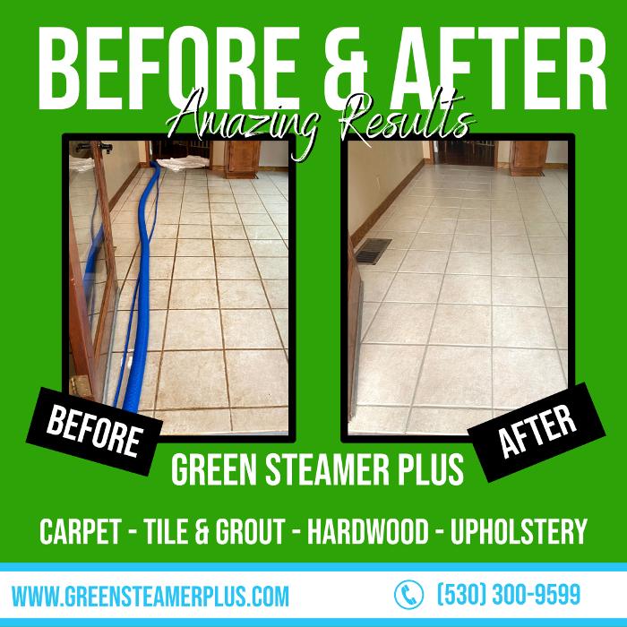 Green Steamer Plus Image