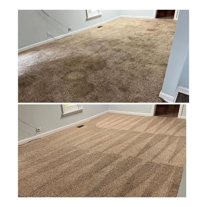 Green Steamer Plus Image