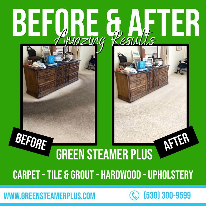 Green Steamer Plus Image