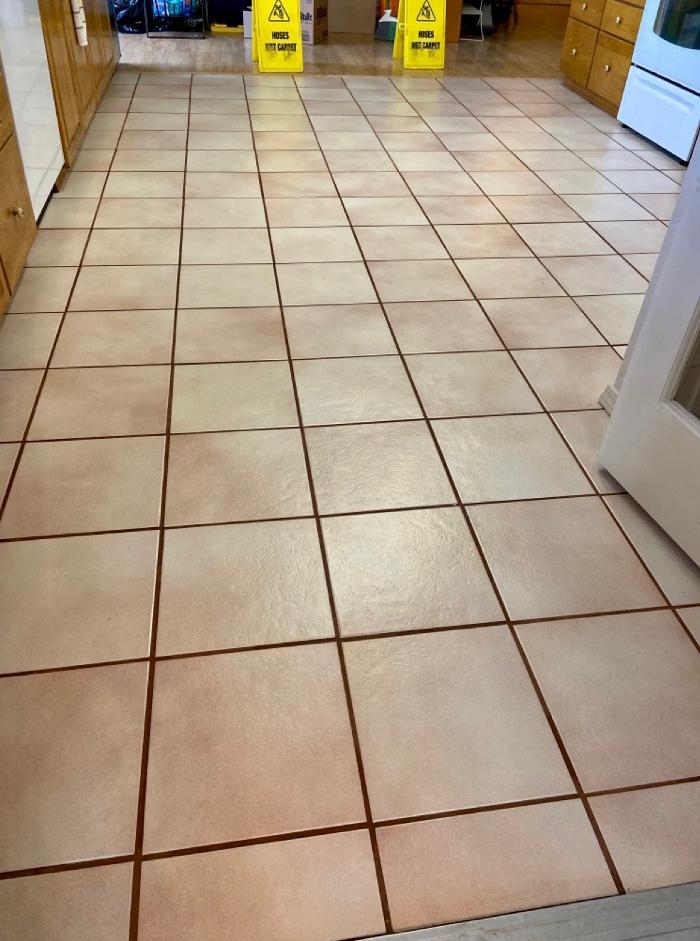 Green Steamer Plus Image