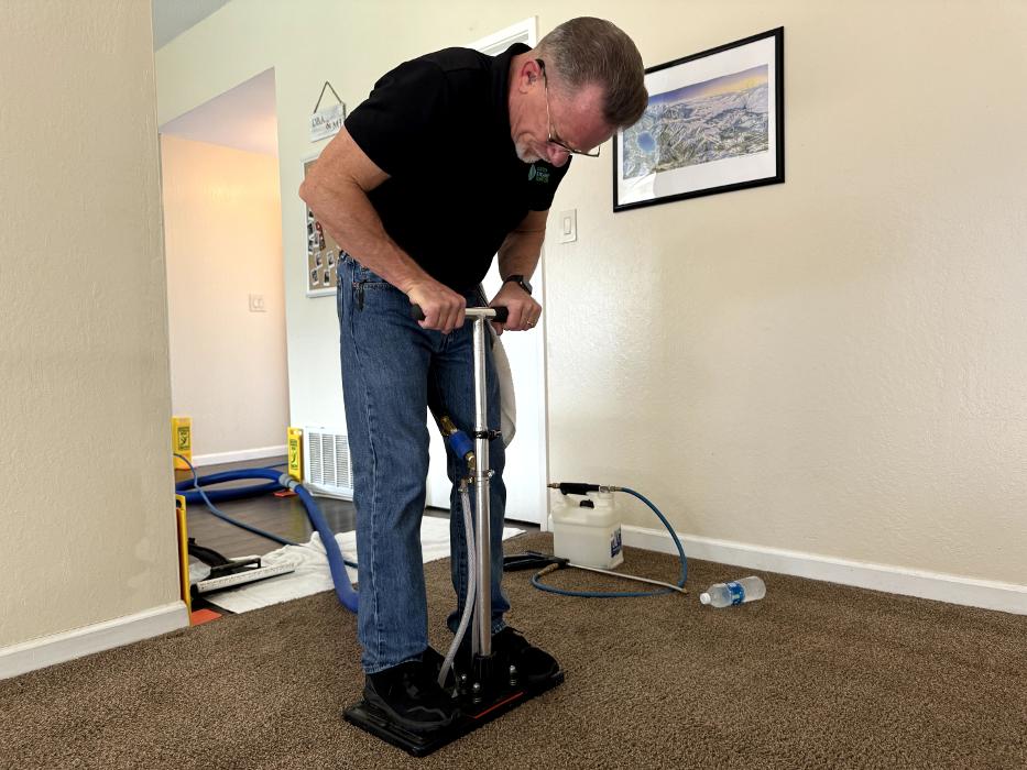 Green Steamer Plus Image