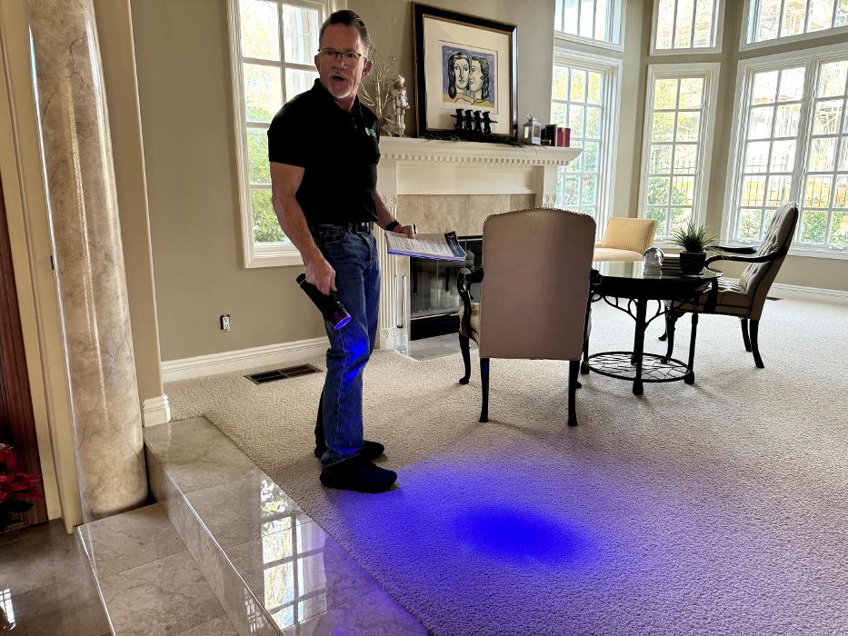 Green Steamer Plus Image